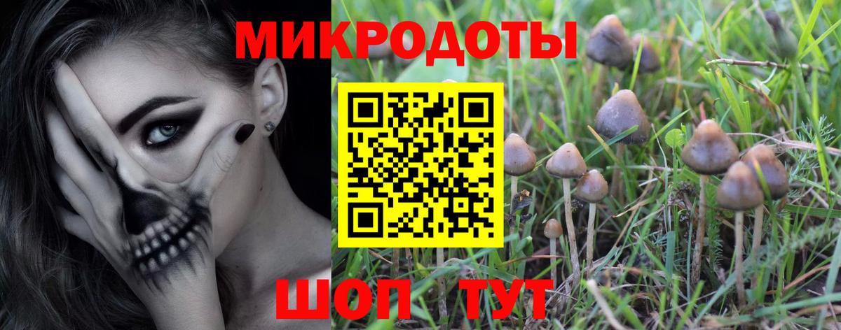 Советск  Псилоцибиновые грибы Cubensis  Псилоцибиновые грибы GOLDEN TEACHER  Вход с VPN 